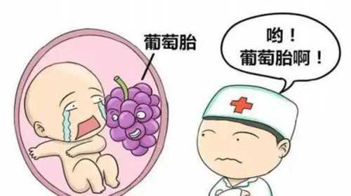 郑州试管捐卵生子有偿捐卵平台婴儿花费明细表-代孕哪家做的好