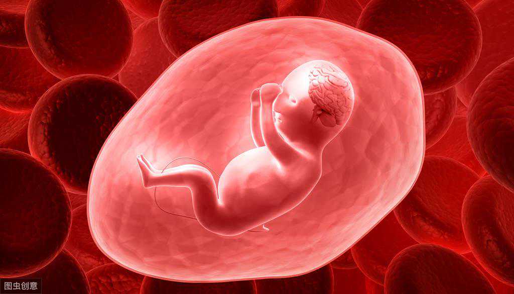 30岁做试管一般成功率&48供卵成功率&怀孕四个月的胎儿有多大，发育成什么样儿